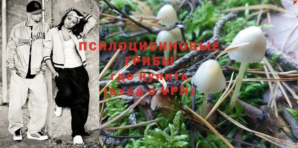 гашик Дмитриев