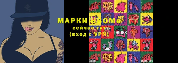ПСИЛОЦИБИНОВЫЕ ГРИБЫ Гусев