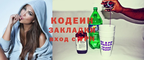 ПСИЛОЦИБИНОВЫЕ ГРИБЫ Гусев