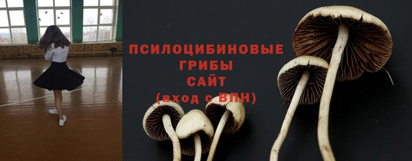 гашик Дмитриев