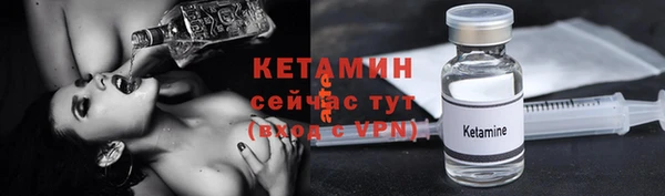 ПСИЛОЦИБИНОВЫЕ ГРИБЫ Гусев