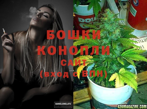 ПСИЛОЦИБИНОВЫЕ ГРИБЫ Гусев