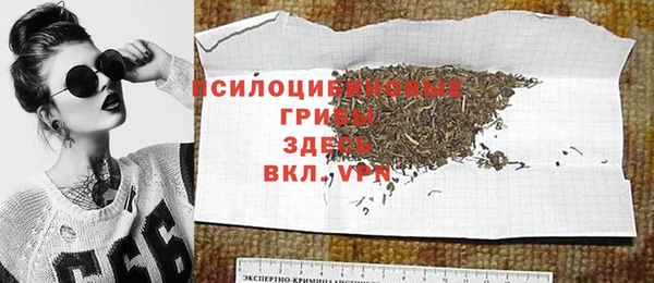 дживик Гусь-Хрустальный