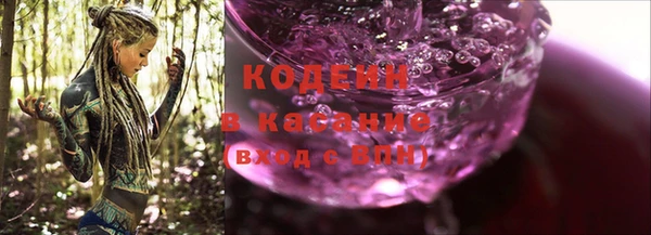 ПСИЛОЦИБИНОВЫЕ ГРИБЫ Гусев