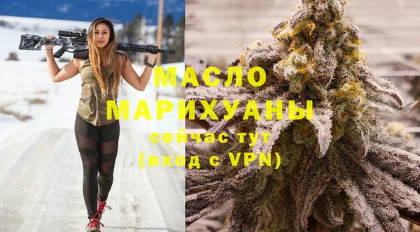 гашик Дмитриев