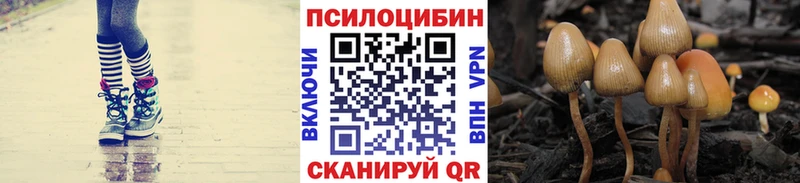 Псилоцибиновые грибы Psilocybe  купить наркотики сайты  Благовещенск 